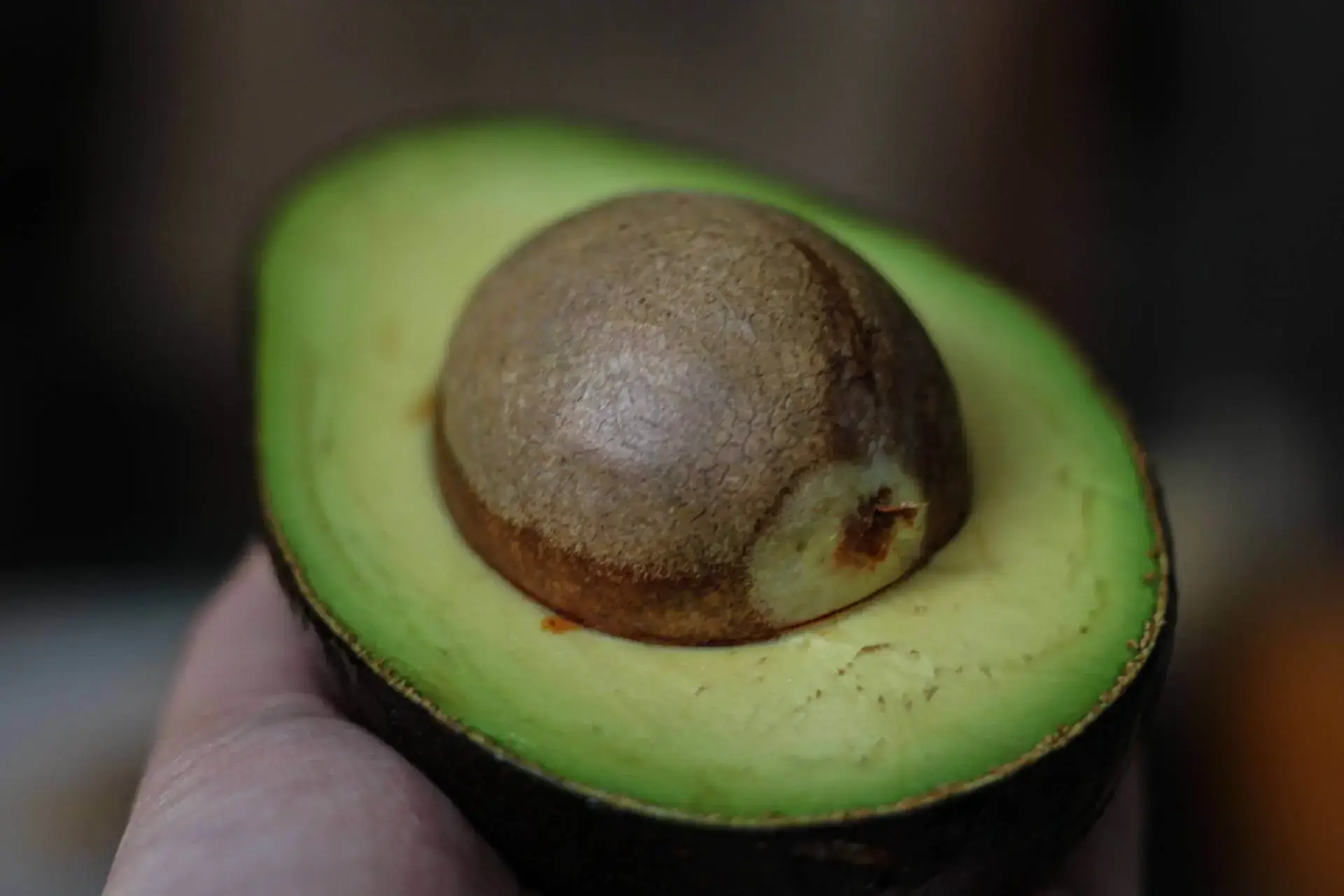 Avocado cut in halve with pit showing